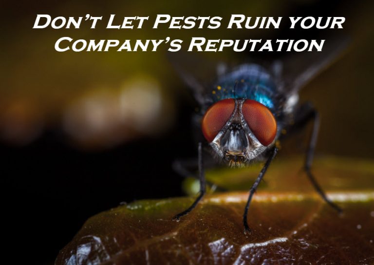 Don’t Let Pests Ruin your Company’s Reputation